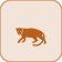 Ocēlōtl