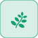 Wariga