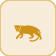 Pop