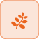 Mula (मूल)